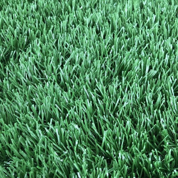 resident artificial turf (2)