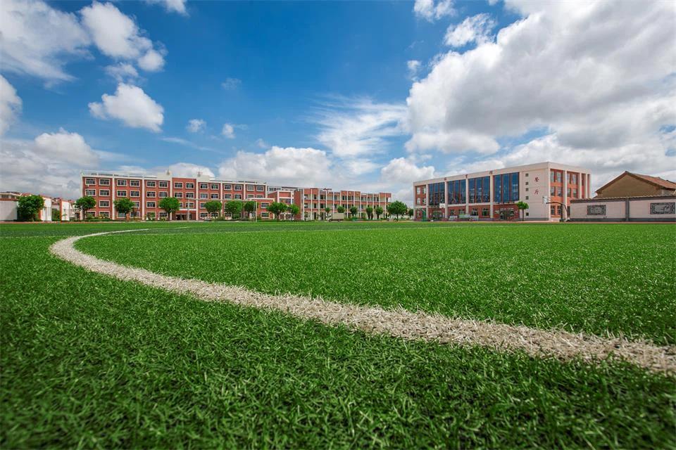 turf field football turf field football