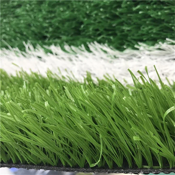 Footballs Grass